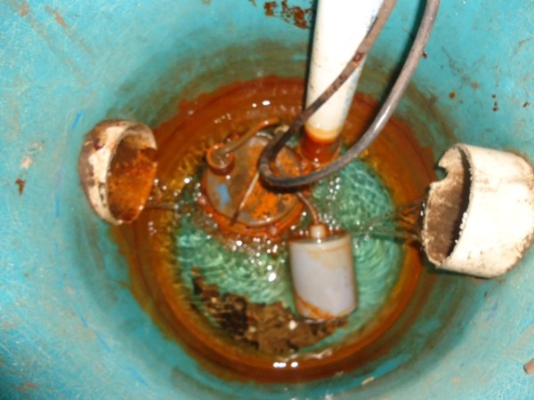 Sump pump Motor & Basket 